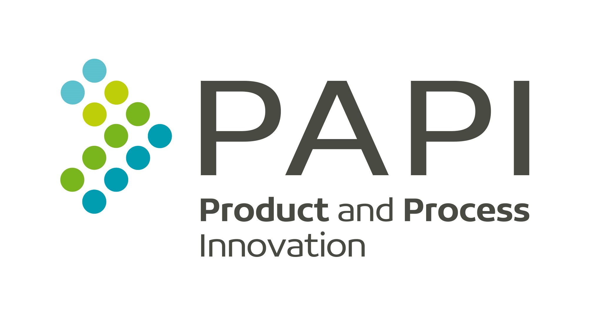 Innovation workshops PAPI