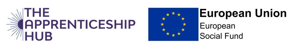 Two logos: The Apprenticeship Hub and European Union European Social Fund